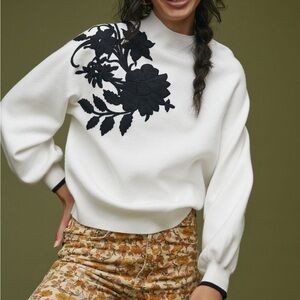 Beatriz mock neck sweater from Anthropologie (xs)